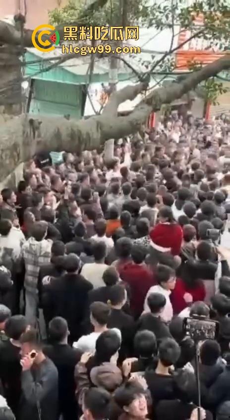 广东潮汕迎老爷因抢香炉爆发冲突，两边人马大大出手，好好的一个迎神活动搞成这样为啥呀！-8