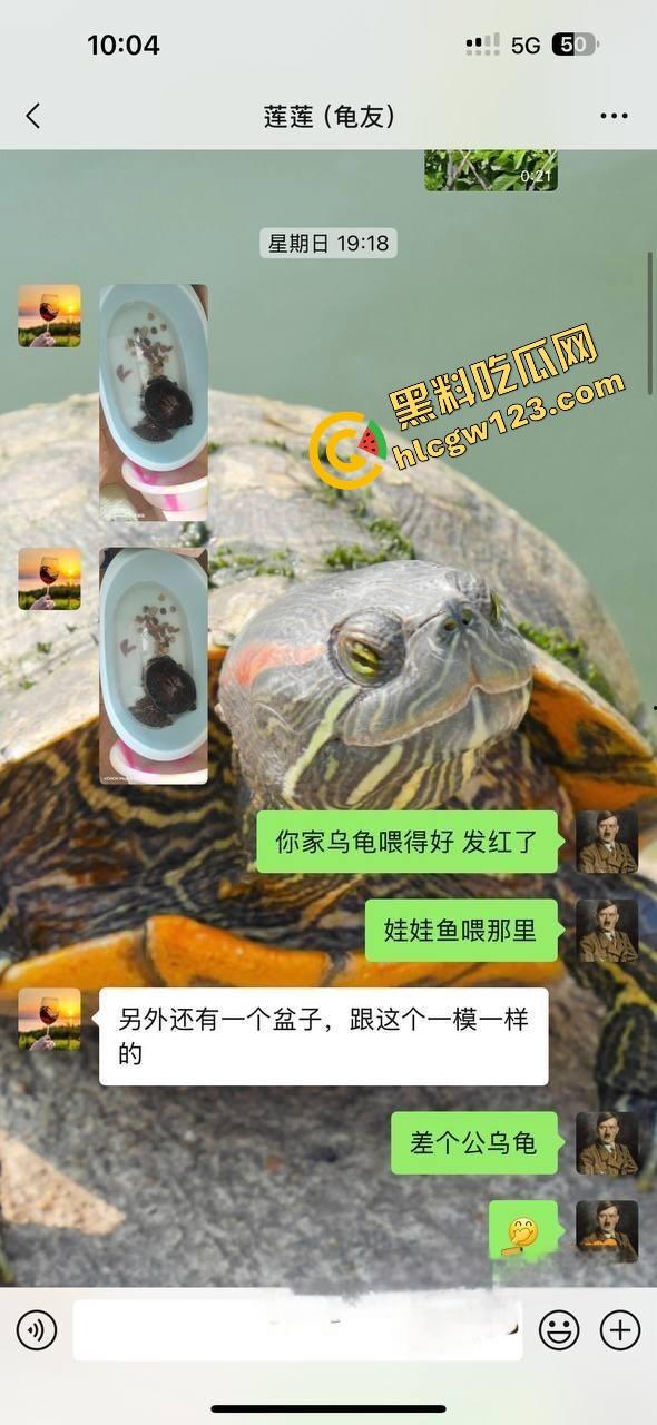 小区楼下遛乌龟竟钓到邻居骚少妇39岁『张珊珊』口活惊艳，屁股一摇榨汁三升，送龟送到床上操！-5