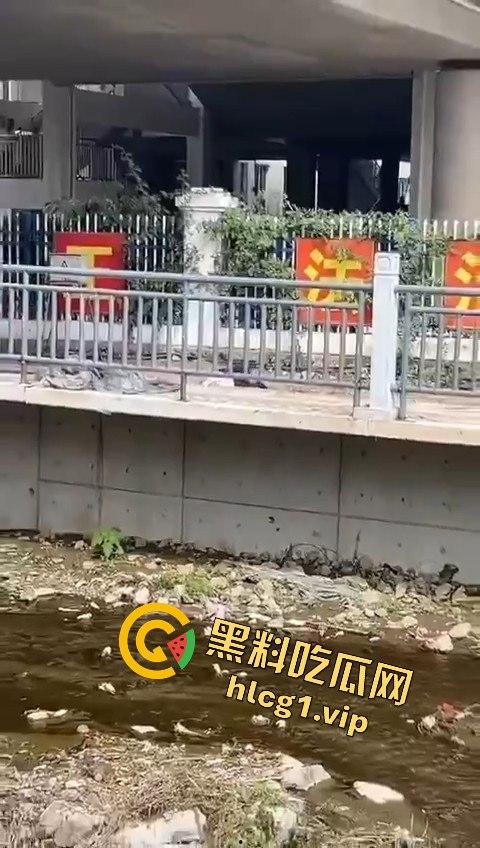 秦皇岛一中高一学生压力大,竟用摔断腿逃学!以身入局的聪明计谋?-8