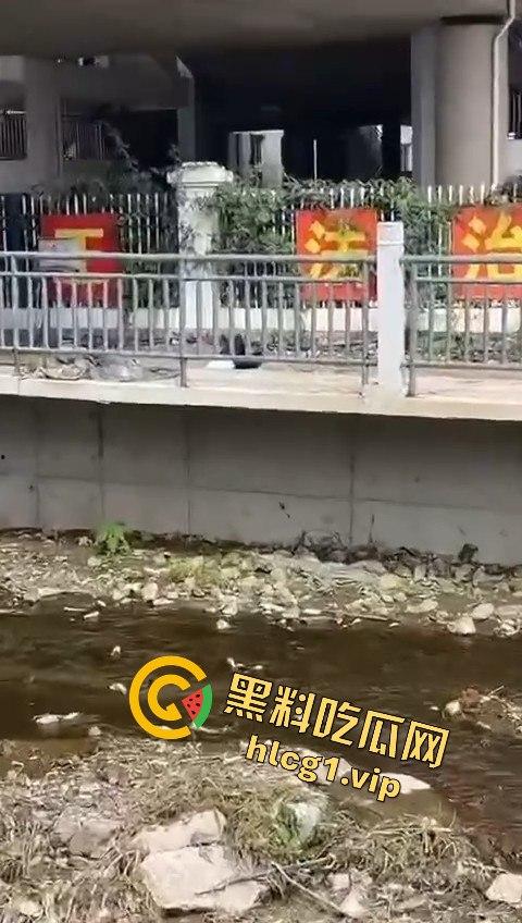 秦皇岛一中高一学生压力大,竟用摔断腿逃学!以身入局的聪明计谋?-9