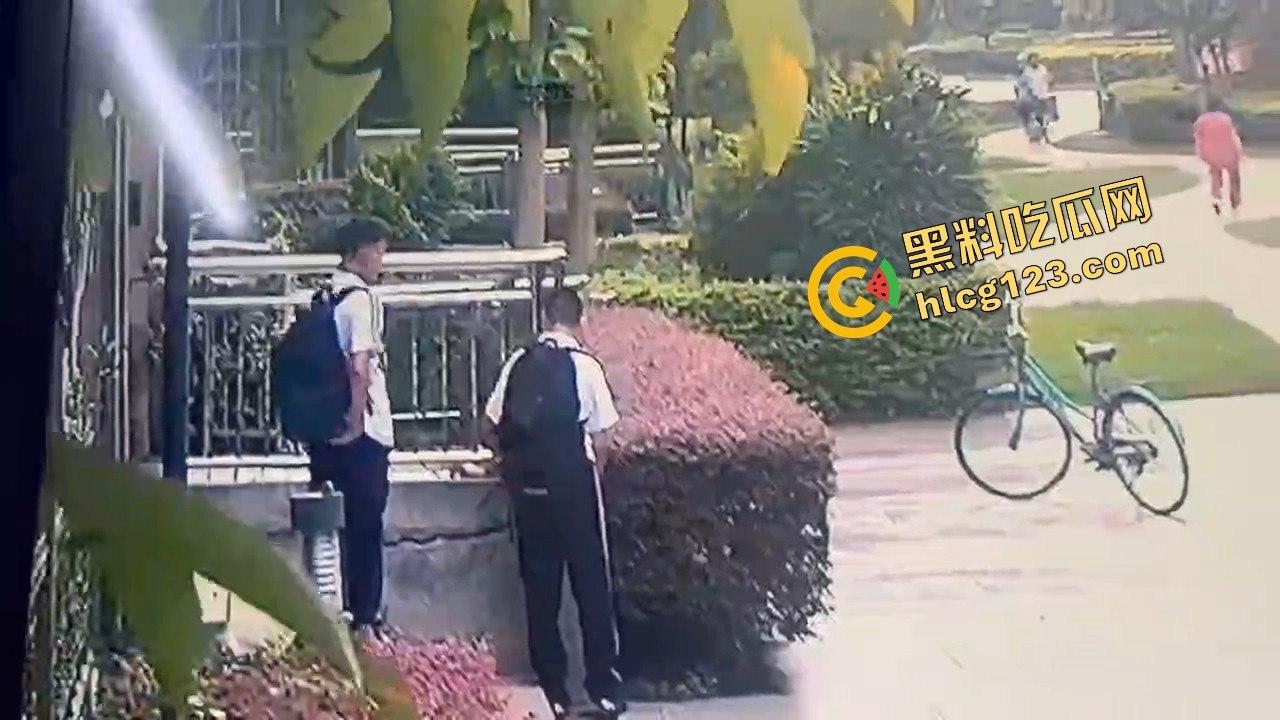 两个初中生小区虐猫？回家对着你老父亲试试，猫是猫人不是人！-7