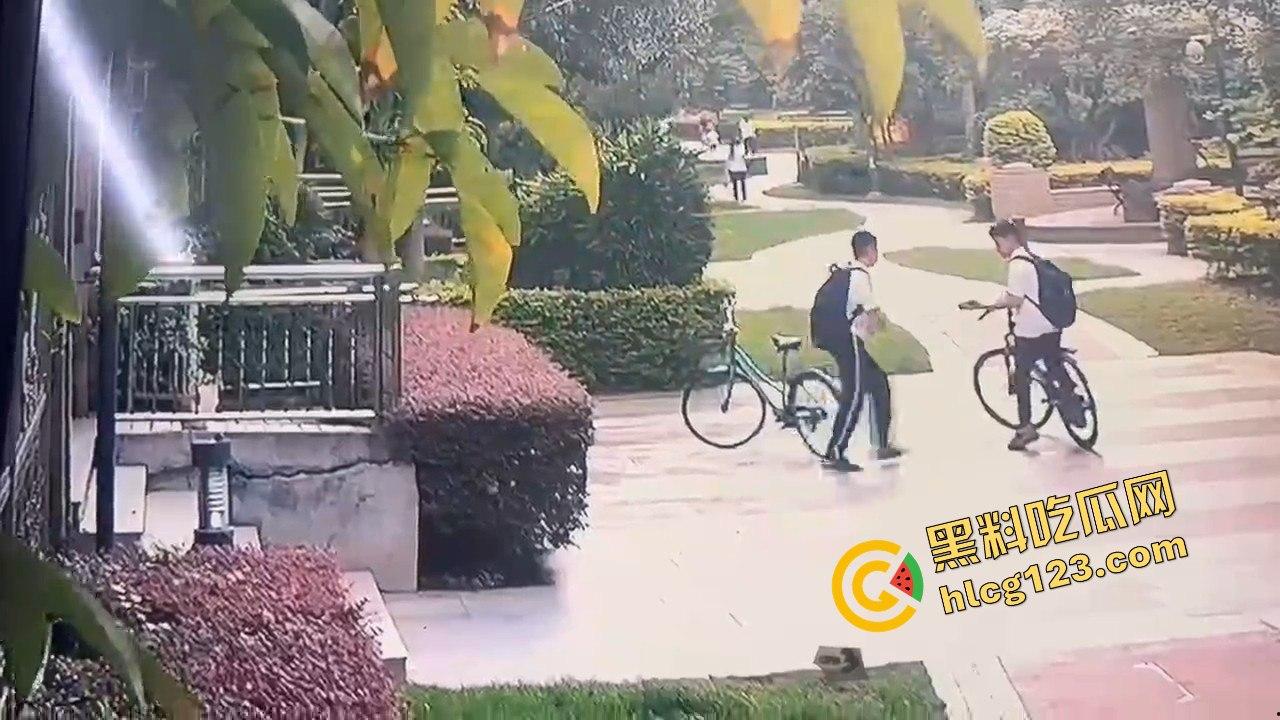 两个初中生小区虐猫？回家对着你老父亲试试，猫是猫人不是人！-8