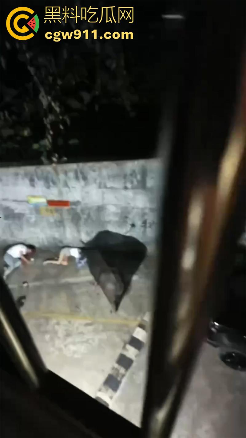 广西藤县河西疯牛伤人事件，伤者正在治疗疯牛仍在逃，警方联合多部门在大冲肚区域追捕！-1