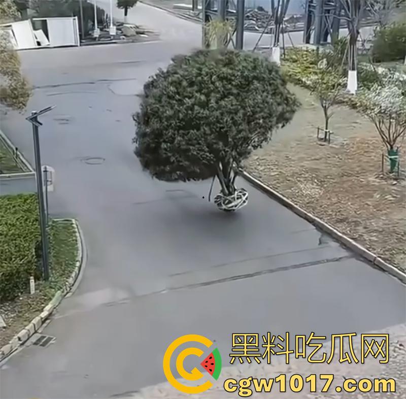 非活体系列灵异事件，起猛了家人们，看到诡异的事情了，件件奇葩细思极恐，难道真有鬼怪存在？-2