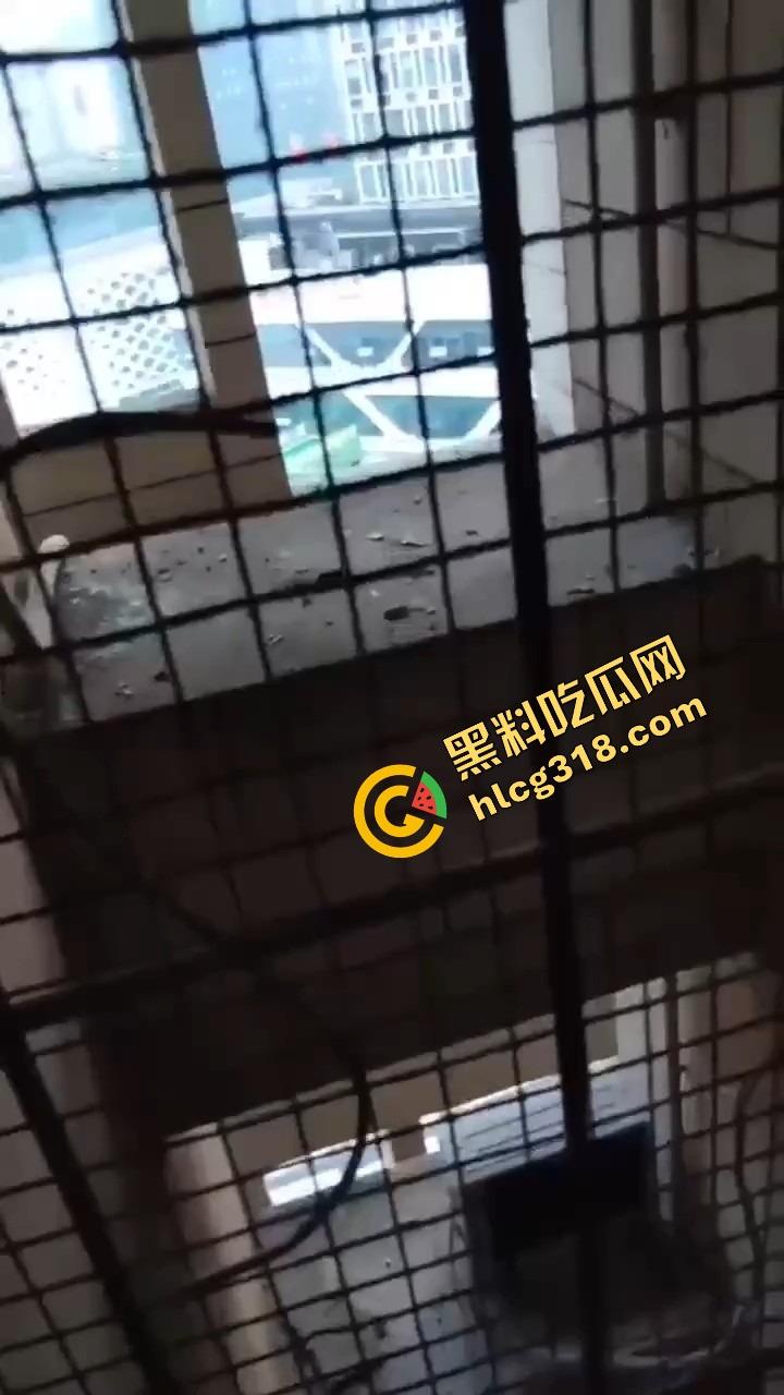 潍坊住户天天叫小姐，夜夜啪啪震天响，大半夜高潮惨叫像杀人，住户忍无可忍拍视频发物业群！-5