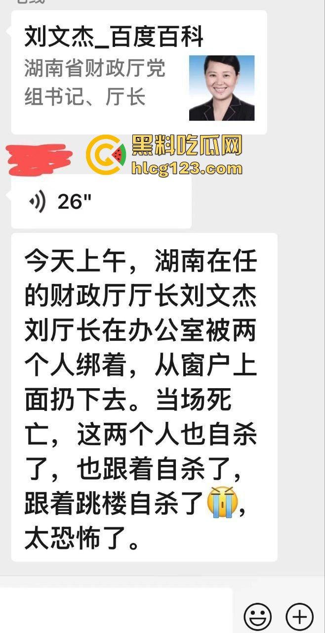 湖南财政厅长刘文杰离奇坠楼死亡！政协委员涉案，新闻被迅速封杀，真相成谜！-4
