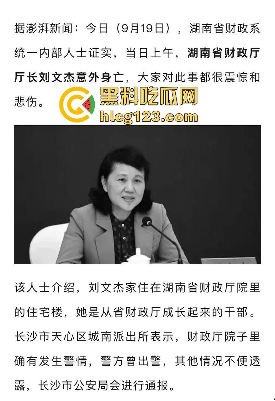 湖南财政厅长刘文杰离奇坠楼死亡！政协委员涉案，新闻被迅速封杀，真相成谜！-5