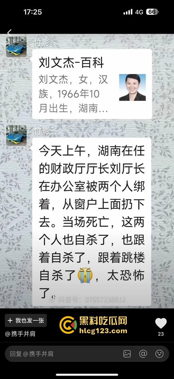 湖南财政厅长刘文杰离奇坠楼死亡！政协委员涉案，新闻被迅速封杀，真相成谜！-8