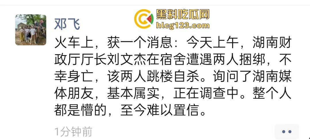 湖南财政厅长刘文杰离奇坠楼死亡！政协委员涉案，新闻被迅速封杀，真相成谜！-12