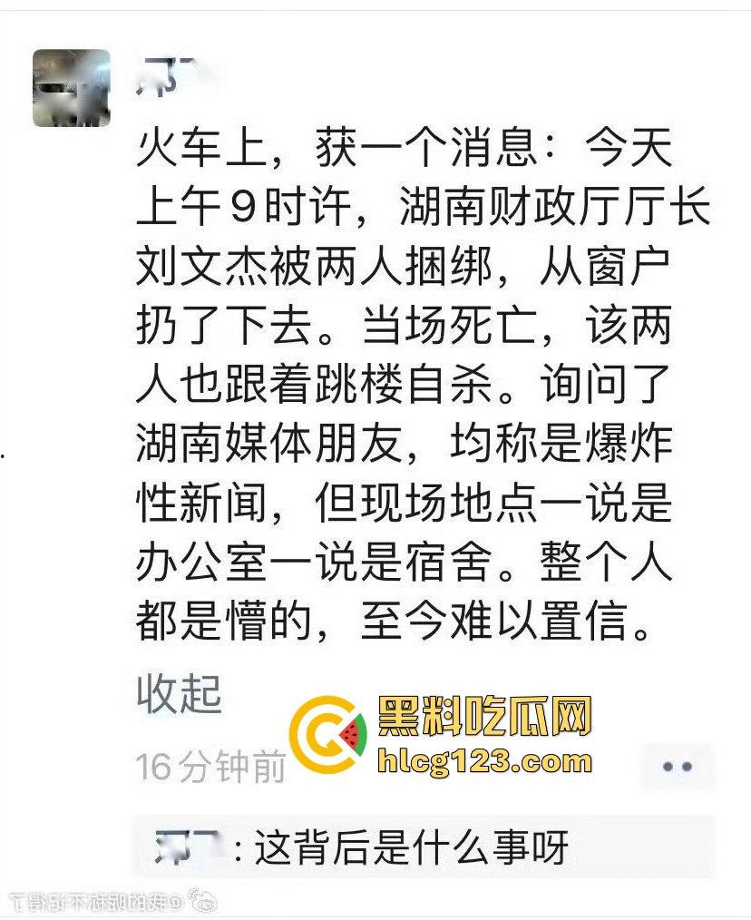 湖南财政厅长刘文杰离奇坠楼死亡！政协委员涉案，新闻被迅速封杀，真相成谜！-13