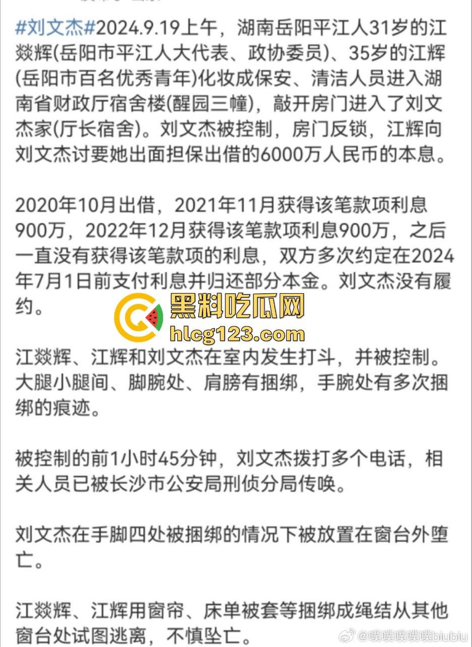 湖南财政厅长刘文杰离奇坠楼死亡！政协委员涉案，新闻被迅速封杀，真相成谜！-14