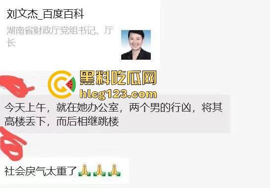 湖南财政厅长刘文杰离奇坠楼死亡！政协委员涉案，新闻被迅速封杀，真相成谜！-20