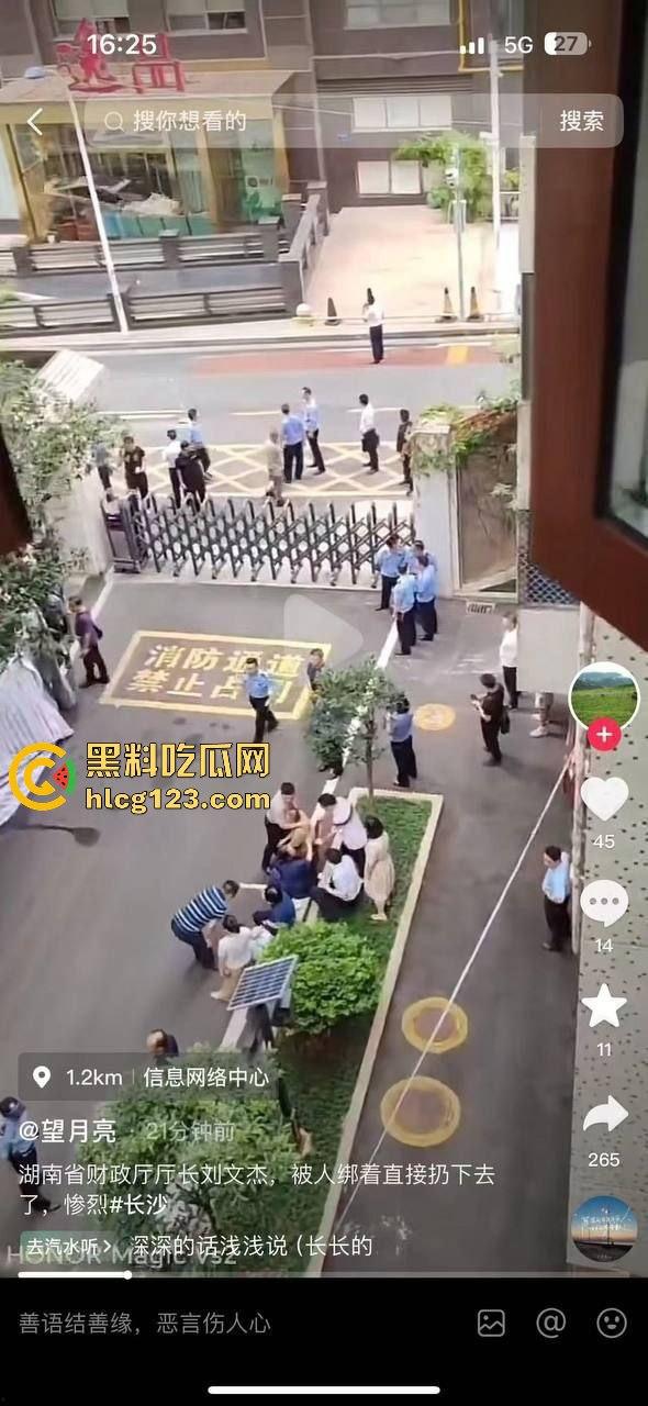 湖南财政厅长刘文杰离奇坠楼死亡！政协委员涉案，新闻被迅速封杀，真相成谜！-24