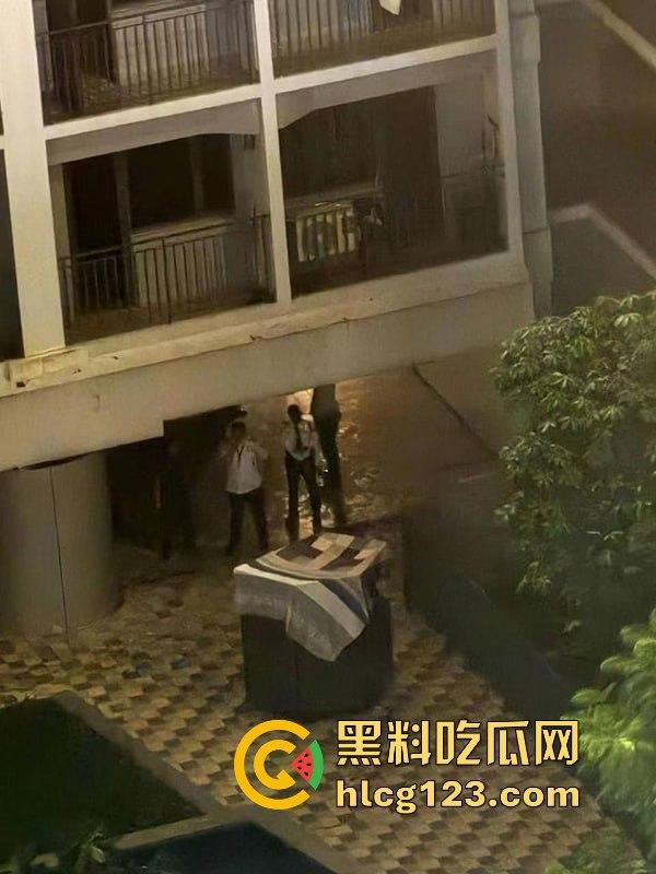 湖南财政厅长刘文杰离奇坠楼死亡！政协委员涉案，新闻被迅速封杀，真相成谜！-25