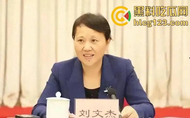 湖南财政厅长刘文杰离奇坠楼死亡！政协委员涉案，新闻被迅速封杀，真相成谜！-29