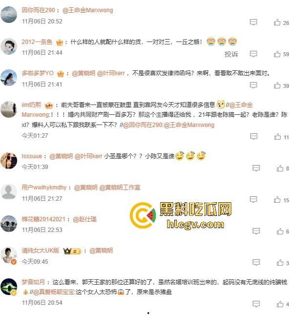 假富婆【叶柯】是杀猪盘实锤了！骗了2000多万还勒索2.7亿当分手费，心疼【黄晓明】让怀孕当筹码。-15