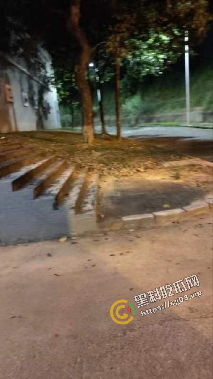 城市学院 小情侣校园路灯下台阶户外活动 被女生宿舍全程偷拍下来 还带解说野战-4