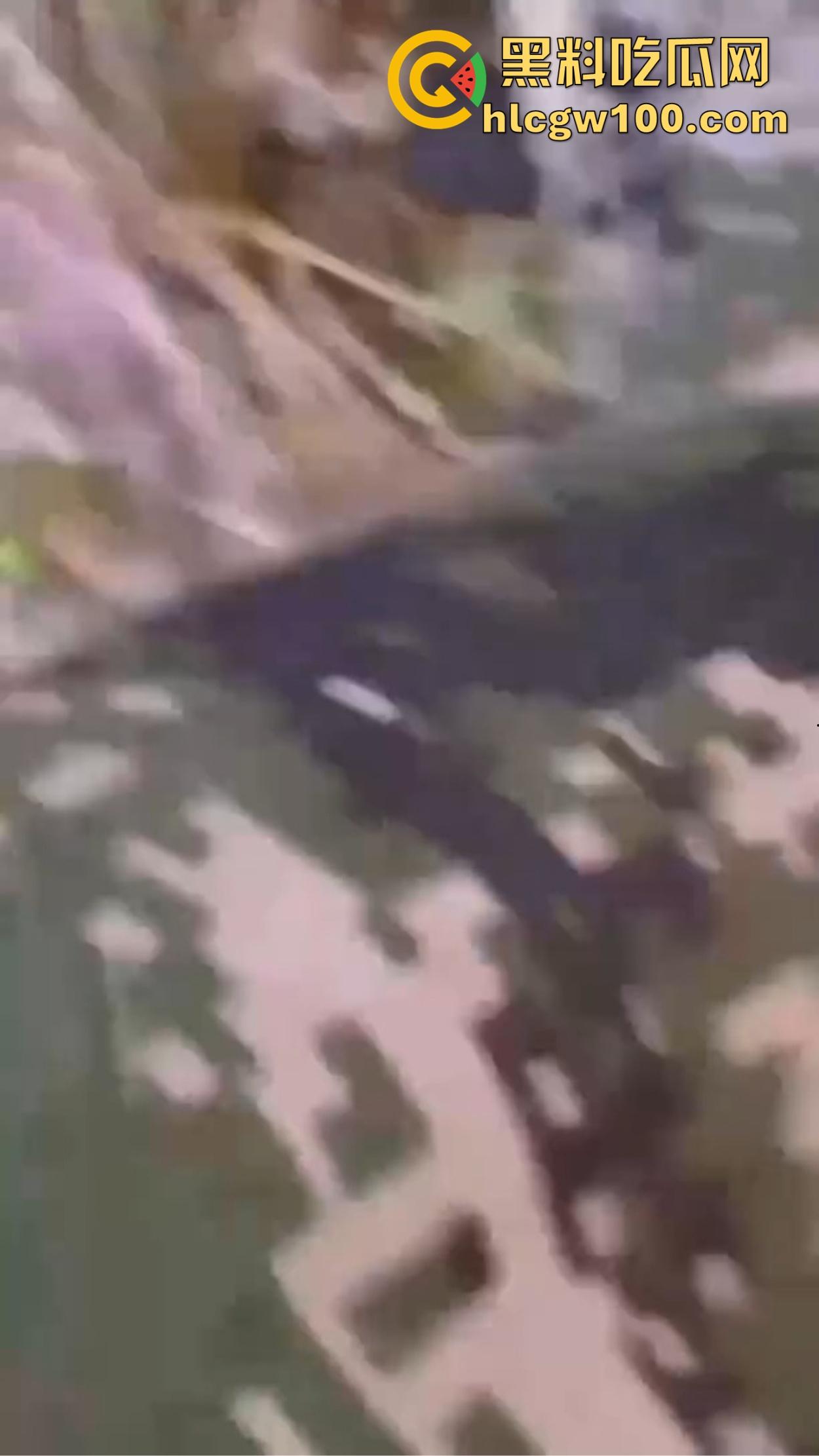 江苏师范大学飞机哥骚操作，篮球场后厕所手瘾犯了，当场打飞机被同学偷拍，场面离谱到无语！-10