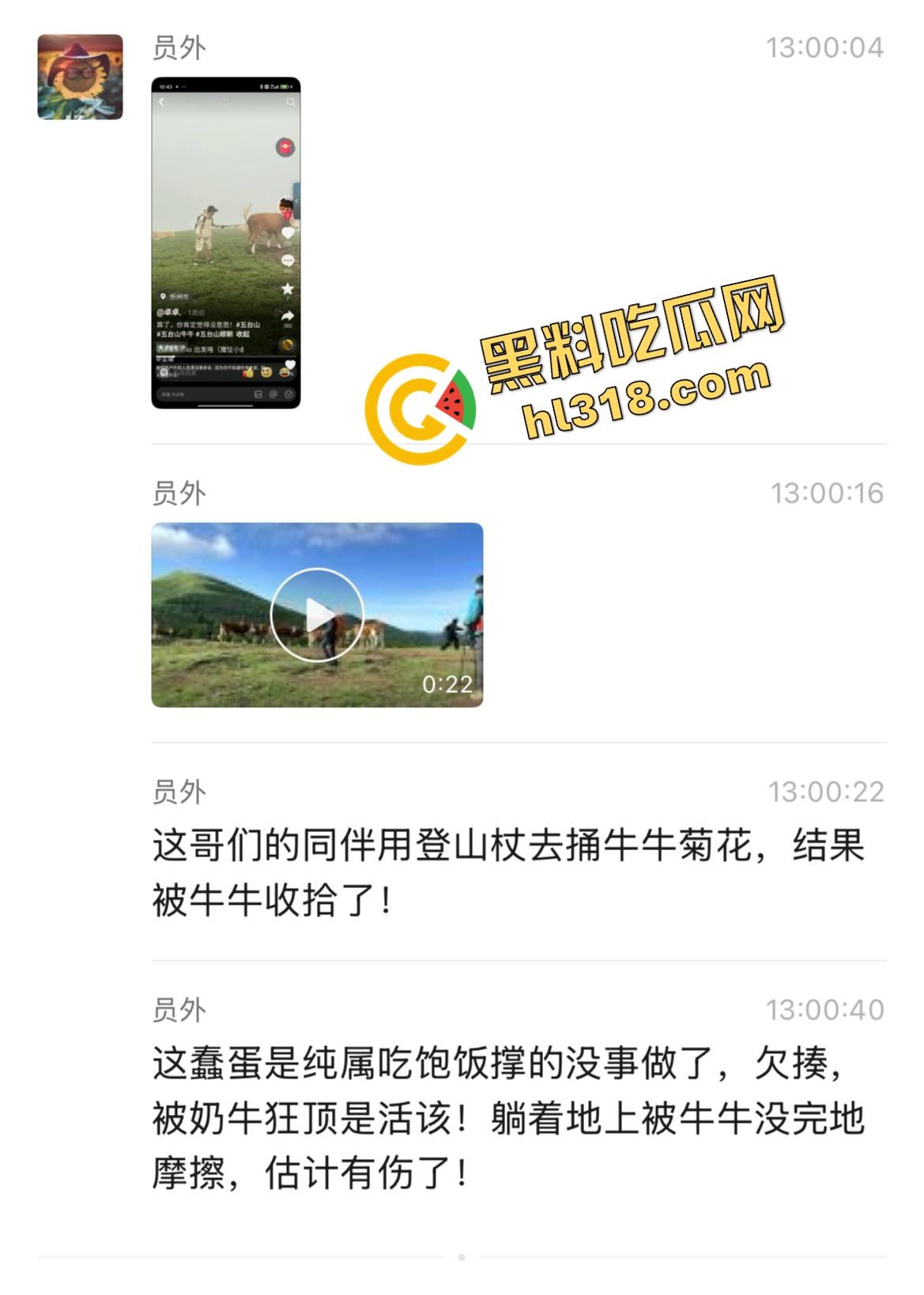 抖音爆笑热瓜，小伙拿登山杖挑牛菊花，没想到反被牛摁地摩擦，这下知道什么叫牛气冲天了吧！-2