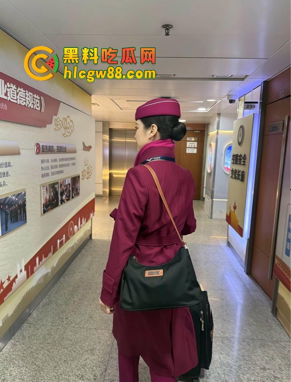 南航空姐『李梅』被大佬调教成空中性奴，飞行前真空服务顾客，航程中厕所抠逼自慰，下机还要穿制服接着干！-13