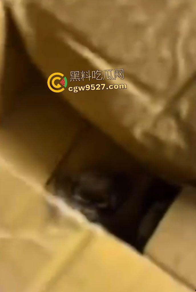 拼多多直播间骗人？69.99元20只“蟹黄满满”大螃蟹翻车！到手拇指大小，网购梦碎，再也不相信网购了！-3