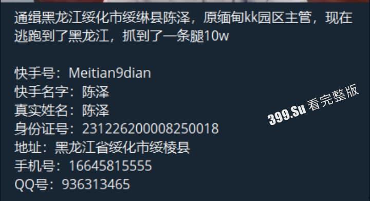陈泽竟是缅甸KK园区主管,现逃回黑龙江,已被下达通缉令!抓到了一条腿10万!!-4