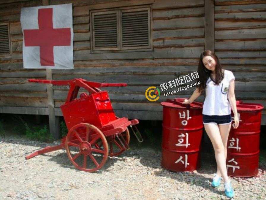 南韩美女空姐为金主献身 视频流出 惊现航空门-2