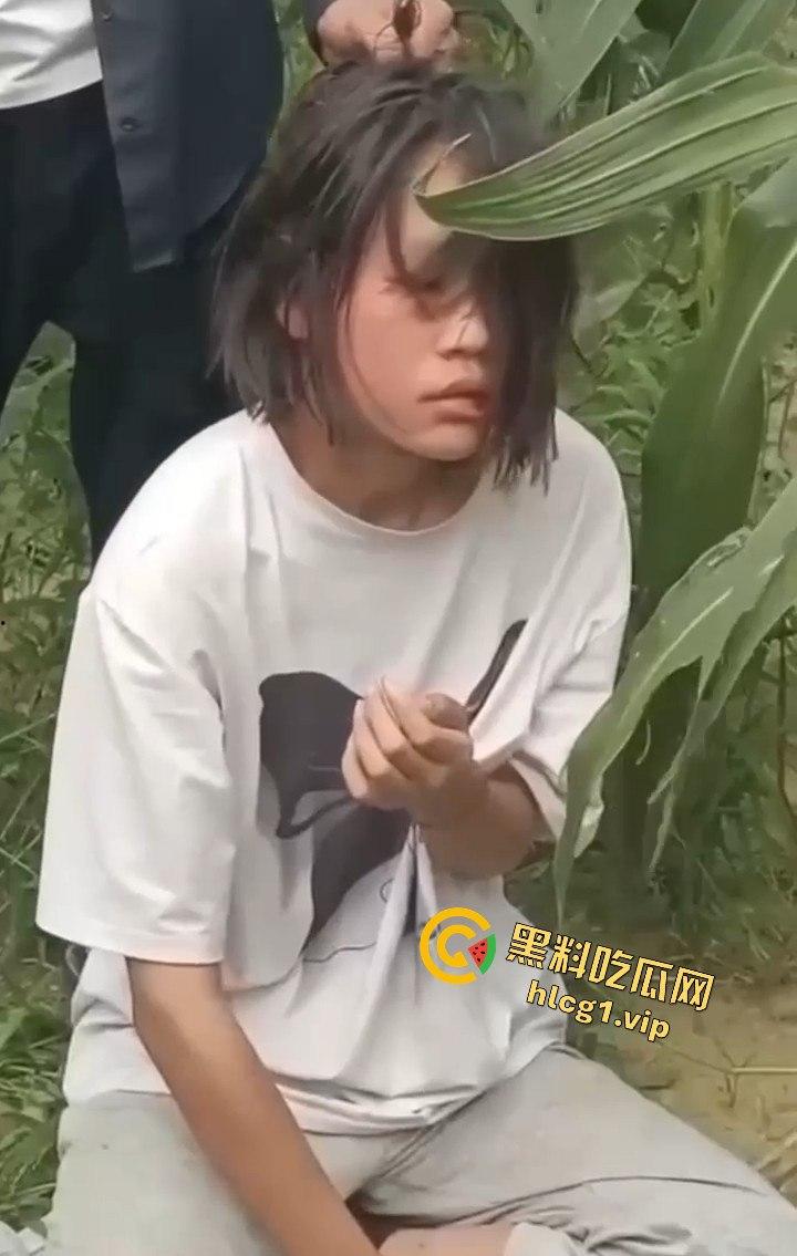 河南商丘高中女生被两名男同学殴打！玉米地中耳光、拳脚相加！-1