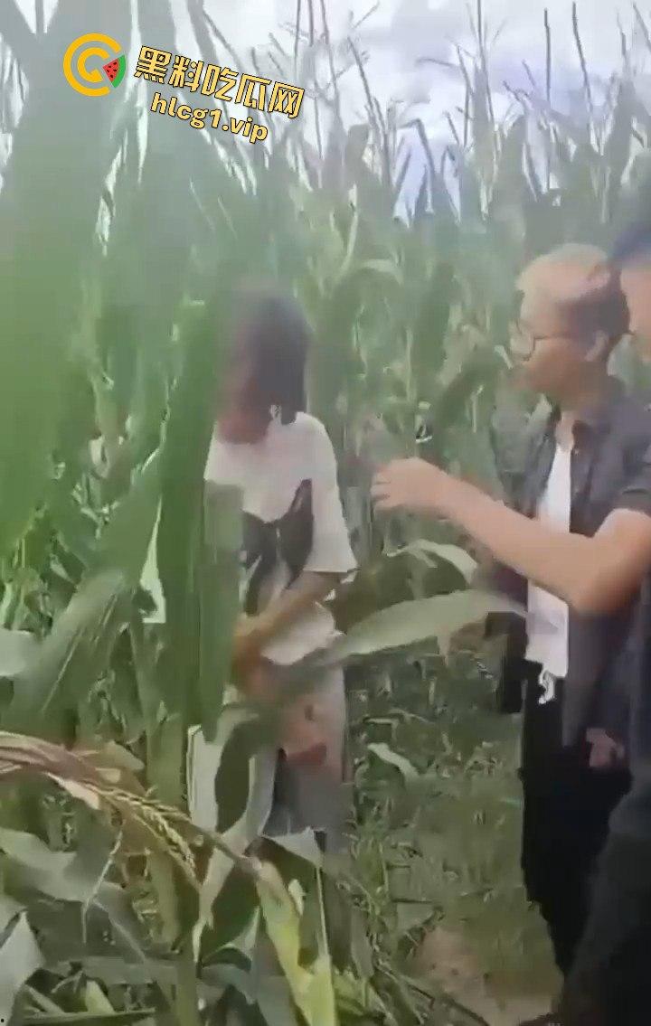 河南商丘高中女生被两名男同学殴打！玉米地中耳光、拳脚相加！-2