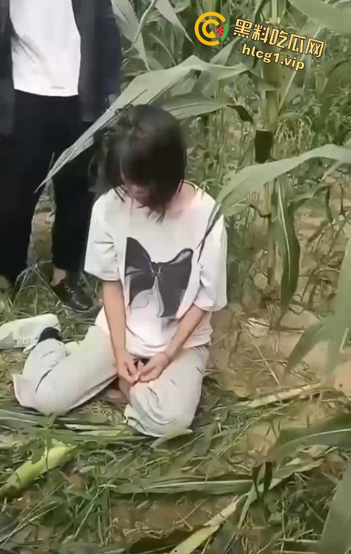 河南商丘高中女生被两名男同学殴打！玉米地中耳光、拳脚相加！-6