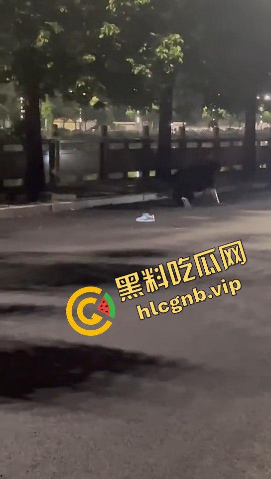 广西两精神小伙为爱街头打架,鞋子都飞了!旁边还有人敲锣打鼓助威!-6