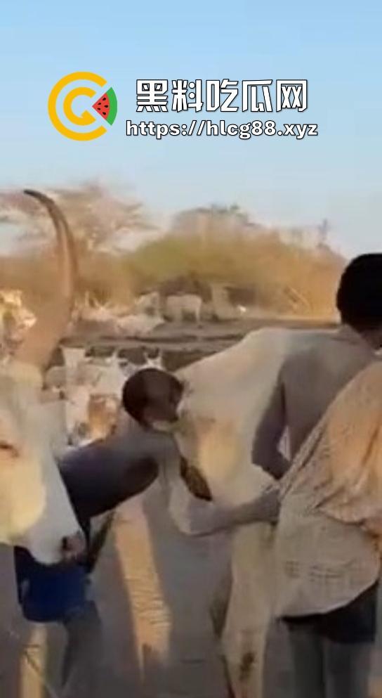 仿真牛逼飞机吞屌神器，各式号码选配让你爽，谁买这玩意撸？印度阿三日牛舔逼狂爱，卖他们直接当首富！-10