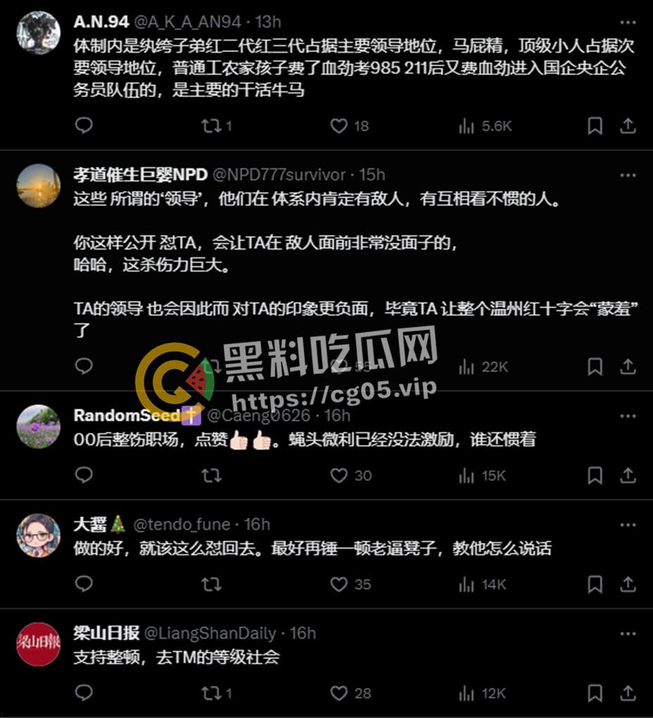 微博抖音狂删贴！00后女孩【诸葛妙妙】浙江政府钉钉群内狂怼辱骂自己的领导 00后整顿职场的时候到了-6