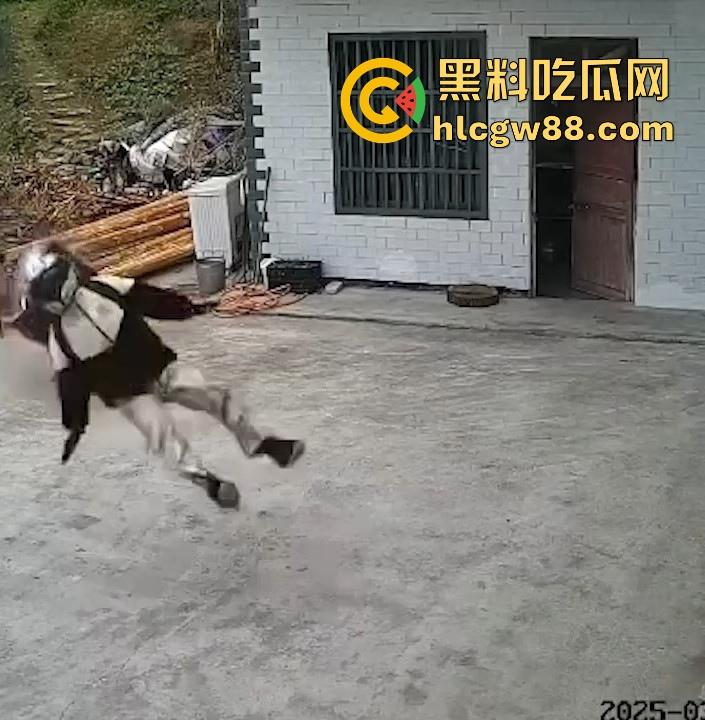 没煮你饭啊!你怎么就怎么就这么自来熟呀?飞车党直飞大爷家 坐等开饭 只见其车不见其人。-6