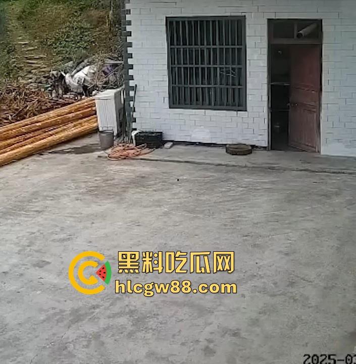 没煮你饭啊!你怎么就怎么就这么自来熟呀?飞车党直飞大爷家 坐等开饭 只见其车不见其人。-7