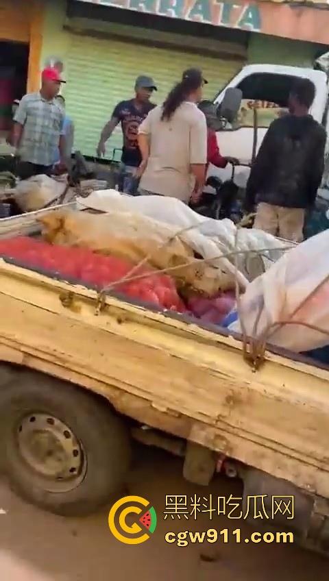 欧洲老白男持刀压迫老实小黑，拿到吓唬人，不料大老黑给逼急了，狗急跳墙抄起大木棍一棒子反杀！-5