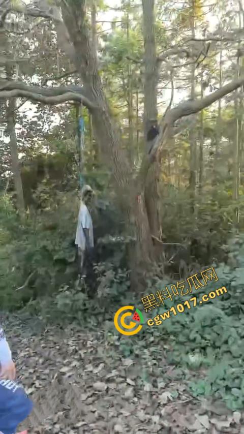 四明山中骑行，摩友巧遇恐怖干尸，惊恐报警，警调挖机移尸，骇人现场，让人看的心跳加速！-4