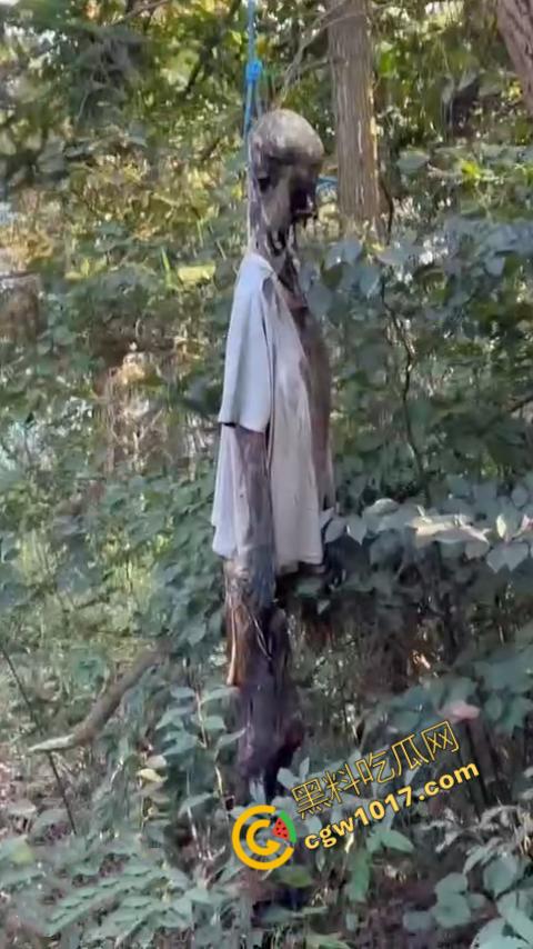 四明山中骑行，摩友巧遇恐怖干尸，惊恐报警，警调挖机移尸，骇人现场，让人看的心跳加速！-9