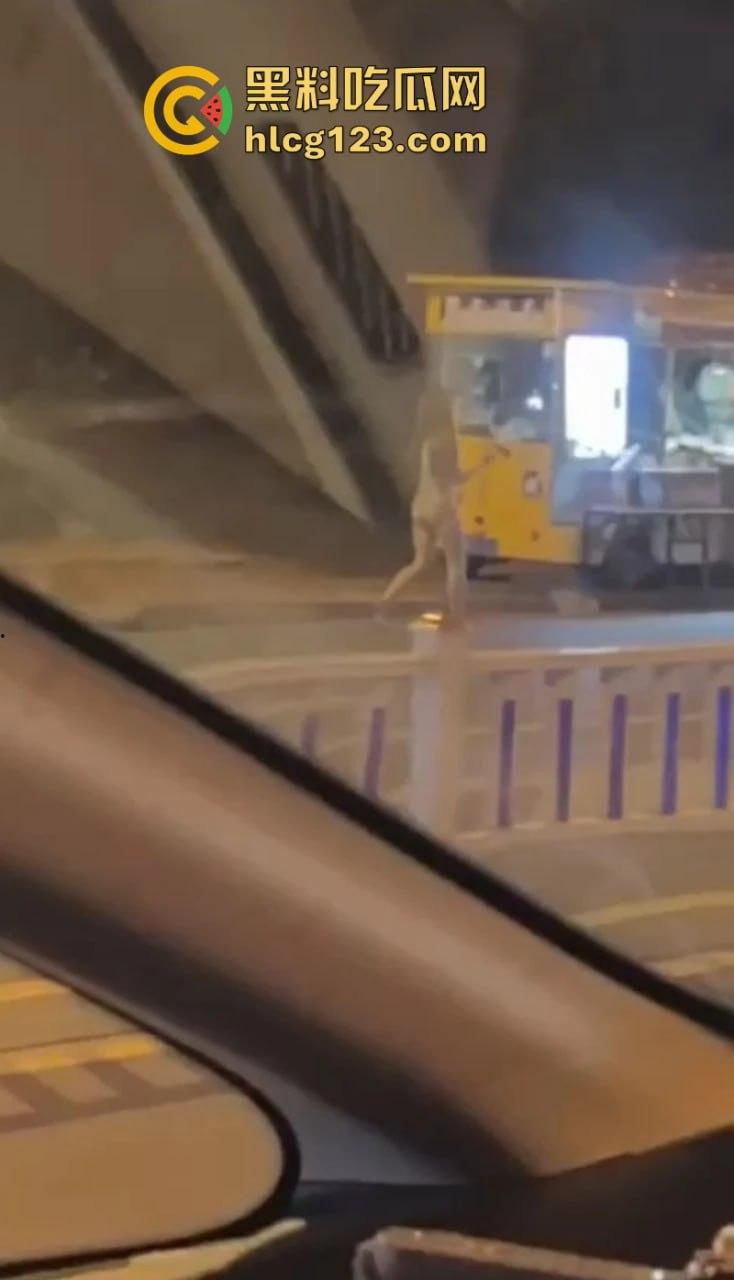 河北邢台 快手网红【吴媛媛】嗑药嗑嗨全裸大街爬行 裸奔求操视频疯传全网-9