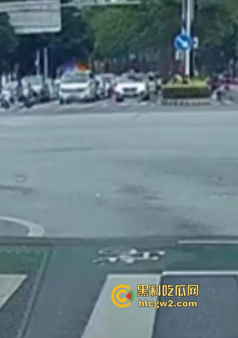 想死拉个垫背的? 广东佛山禅城一男子驾车无视红灯撞死路人 现场碾人视频流出-5