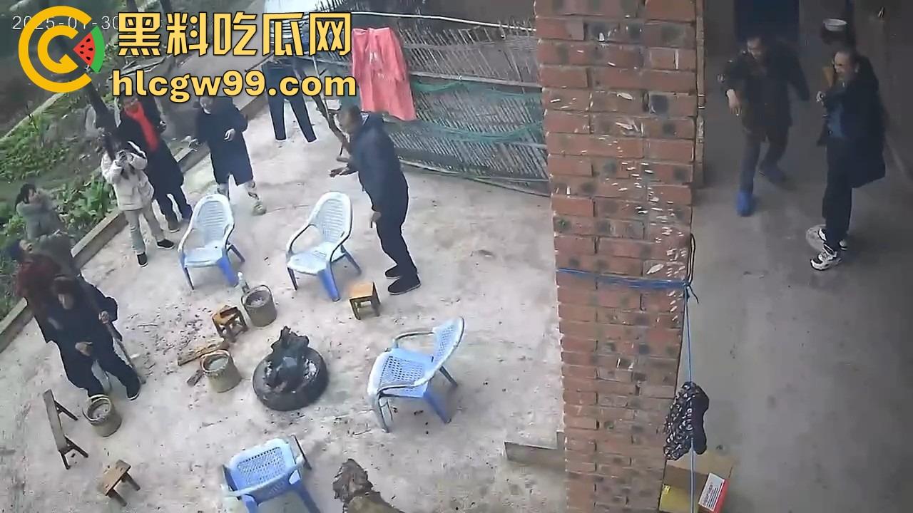 重庆狗子掉进粪坑惨变生化武器 出坑后全家总动员 结果反被狗狂追满院狂喷 粪味冲天！-4