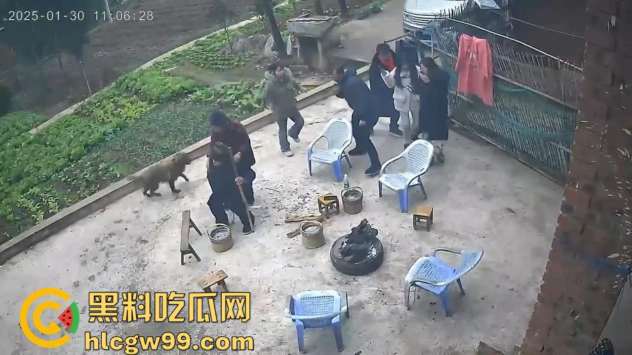 重庆狗子掉进粪坑惨变生化武器 出坑后全家总动员 结果反被狗狂追满院狂喷 粪味冲天！-5