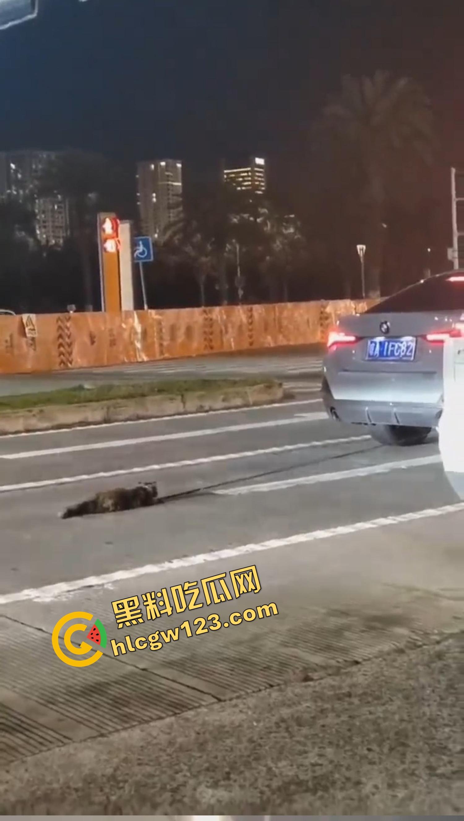 海南海口宝马车拖行小猫致死，群众当街怒吼追车，司机被围送派出所,这是碾压良知！-3