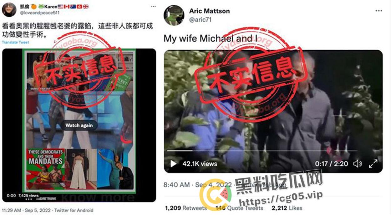 美国头条!奥巴马的妻子 “米歇尔”其实是个男人?同性恋秘密被公开?-3