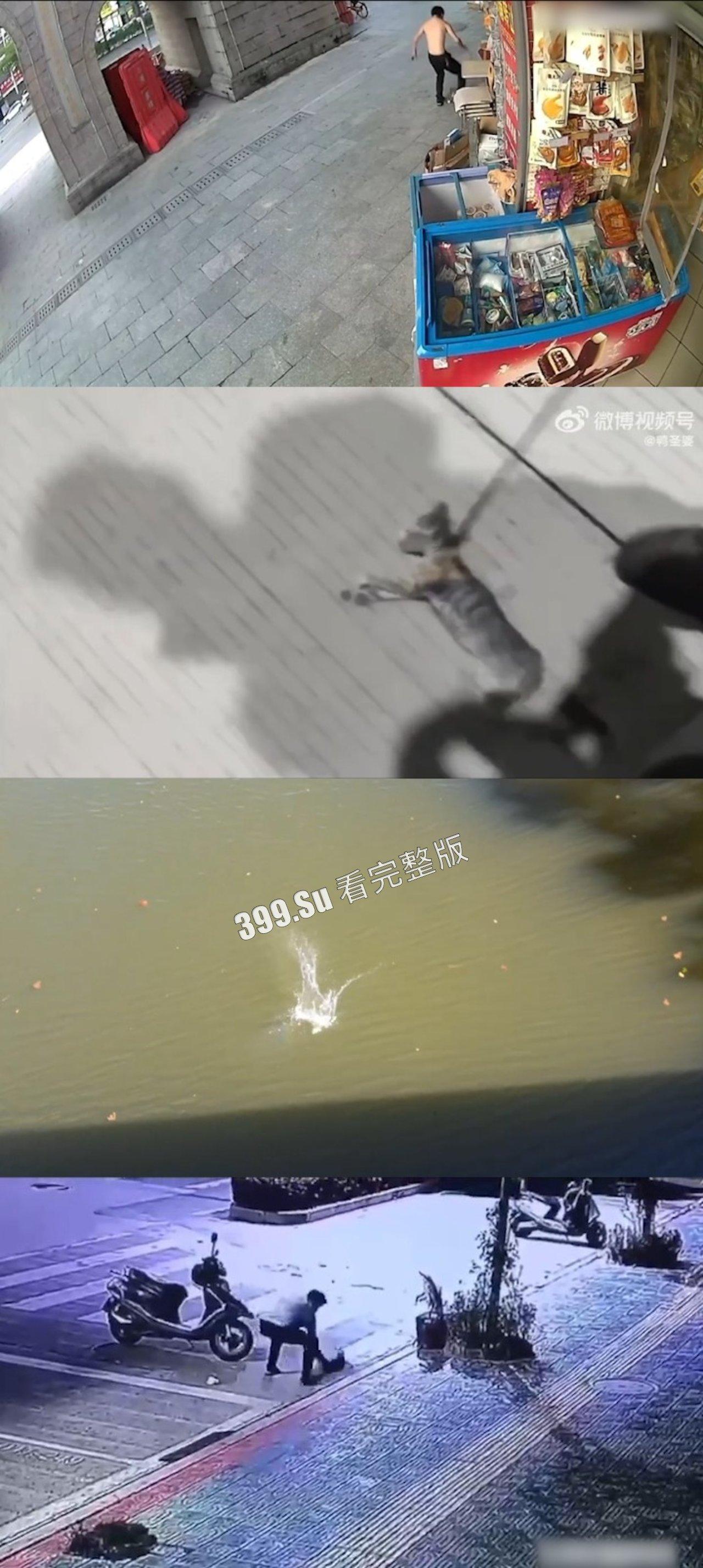 慎点！！！虐猫篇   面对没有反抗力的猫，人性中的恶被无限放大-8