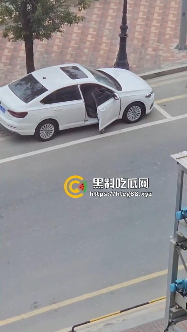 河南偷车小分队大白天开抢，一人爆车门硬撬，两傻逼骑小电驴望风，天网监控算个屁！-6