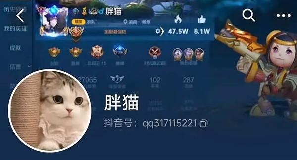 纯爱不死!王者荣耀国服梦琪【肥猫】【谭竹】事件全梳理 两年转账51万后被PUA至死 谭竹被打视频流出?正义开盒-1