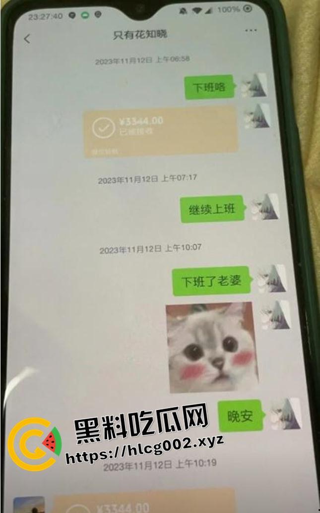 纯爱不死!王者荣耀国服梦琪【肥猫】【谭竹】事件全梳理 两年转账51万后被PUA至死 谭竹被打视频流出?正义开盒-2