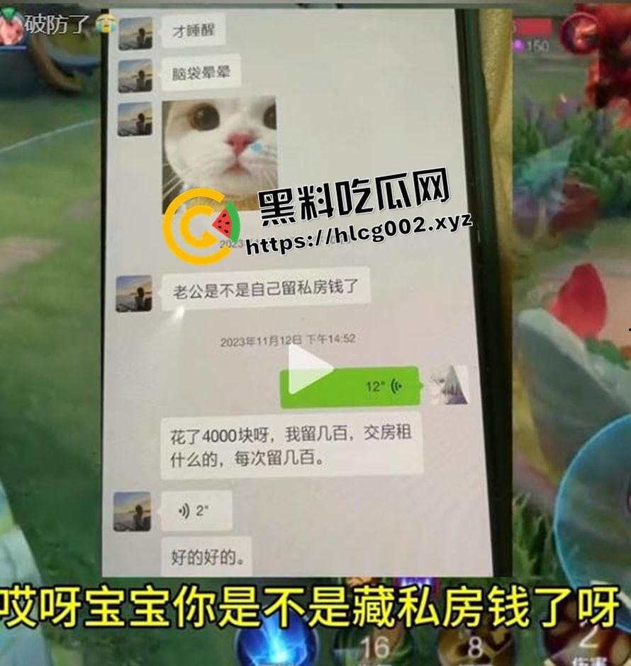 纯爱不死!王者荣耀国服梦琪【肥猫】【谭竹】事件全梳理 两年转账51万后被PUA至死 谭竹被打视频流出?正义开盒-10