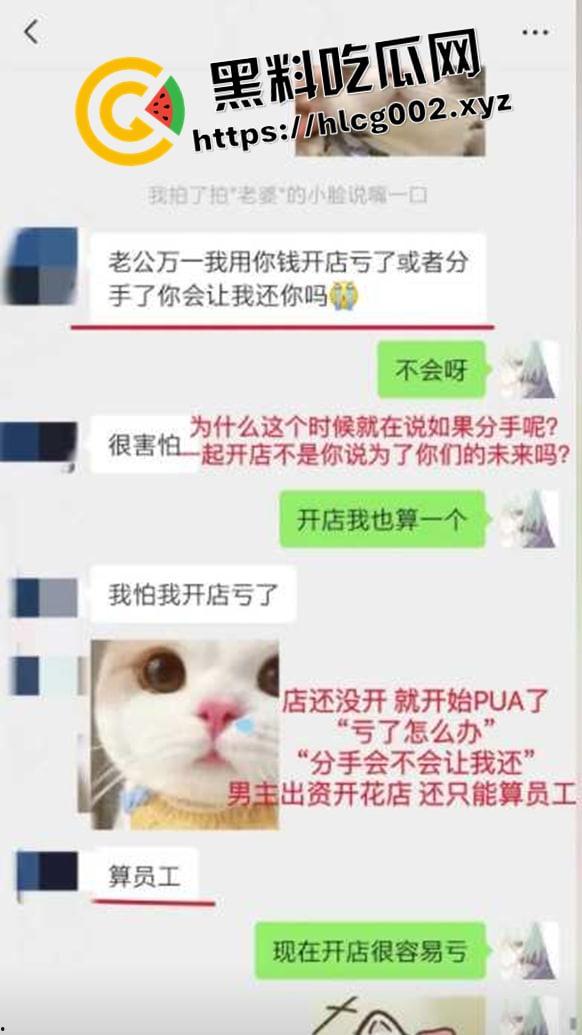 纯爱不死!王者荣耀国服梦琪【肥猫】【谭竹】事件全梳理 两年转账51万后被PUA至死 谭竹被打视频流出?正义开盒-11